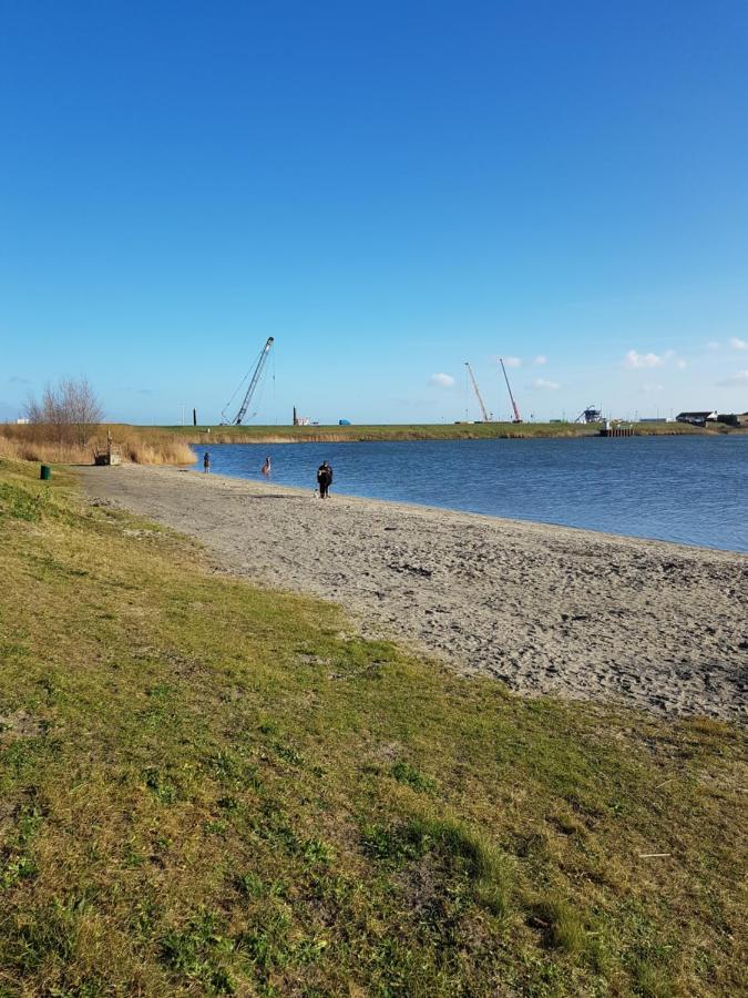 Wierhooft 21 Den Oever Exterior photo